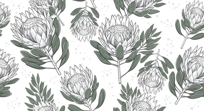 Seamless pattern of king protea flowers with leaves, botanical art, for textile design, wallpaper, fabrics, wrapping paper, home decor, and print.