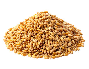 Pile of tan, oval wheat grains, illuminated, showing texture and shape details on a dark background