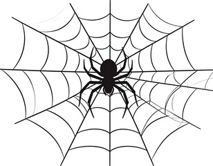 Obraz premium Black spider in the center of its spiderweb, white background