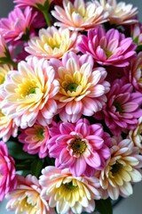 Fototapeta premium A vibrant bouquet of delicate ranunculus blooms in soft pastel colors, a beautiful natural display, natural light, pastel