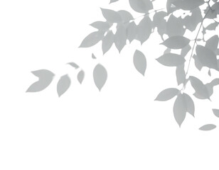 Pale, stylized foliage cascades down from the upper right, contrasting against a stark black background