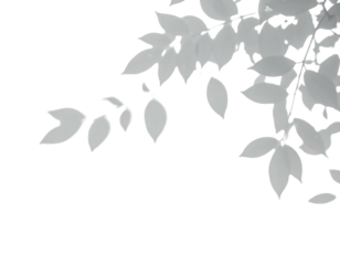 Pale, stylized foliage cascades down from the upper right, contrasting against a stark black background