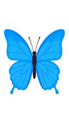 Cartoon illustration of a vibrant, symmetrical, blue butterfly