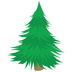 Evergreen Pine Tree With Dark Green Needles And Brown Trunk On Transparent Background In Full Sunlight