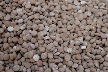 Moldy Fish Feed Pellets in Hand – Spoiled Aquaculture Feed Concept