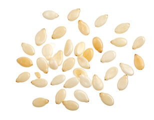 Scattered sesame seeds, pale white and beige tones, isolated against a stark black background. Grainy close-up detail