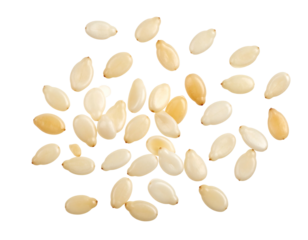 Scattered sesame seeds, pale white and beige tones, isolated against a stark black background. Grainy close-up detail