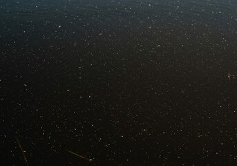 Still surface of dark, tannic marsh water reflecting the overlying wetland environment. Close view emphasizing murky texture and natural aquatic ecosystem ,nature ,dense ,liquid