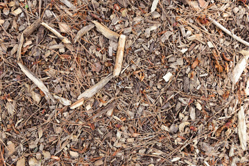 Natural ground texture with wood