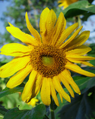 Um dia de ensaio maravilhoso e não pude deixar de registrar a beleza da natureza ao meu redor.