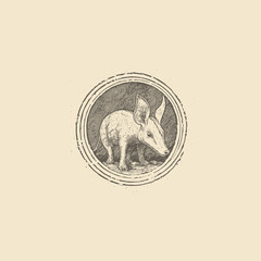 Vintage engraving illustration of an Aardvark with large ears, standing in a circular frame with a distressed, stamped texture