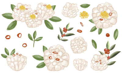 菊花かぶ（おせち料理）の飾り切りと和のあしらいセット（水彩タッチ）