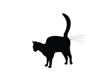 Cat silhouette peeing to mark territory, isolated background, vector illustration.