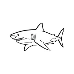 Dynamic great white shark illustration majestic marine predator open mouth fierce ocean animal line art vector © azad