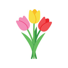 Vibrant spring tulips bouquet fresh flowers nature botany floral botanical garden illustration isolated vector