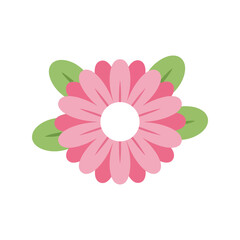 Vibrant pink daisy flower illustration nature petals botany spring blossom floral design vector