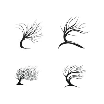 Set of four abstract windblown tree logos or icons. Minimalist black and white vector graphics of bare, stylized trees with branches curving from the force of the wind