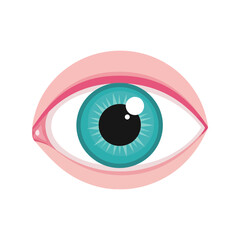 Close up vibrant blue iris and pupil eye anatomy medical health vision concept vector