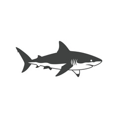 Majestic great white shark silhouette side view ocean predator marine life illustration vector