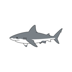 Majestic great white shark illustration oceanic predator marine life sea animal vector