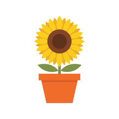 Obraz premium Single sunflower plant in orange pot isolated on white flat illustration vector