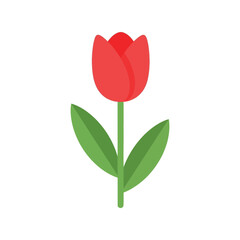 Vibrant red tulip flower isolated simple flat design botanical illustration spring symbol vector