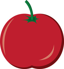 Fresh Red Tomato Vector Illustration Isolated on White Background – Realistic Organic Vegetable Design, Healthy Food Concept, Farm Produce, Vegan Diet, Natural Ingredient, Modern Graphic Art