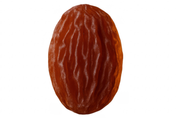 Dried date fruit showing healthy sweet snack on transparent background