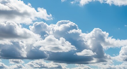 Fototapeta premium Beautiful bright blue sky with large white fluffy cumulus clouds moving quickly across the frame. Timelapse weather background ,clear ,fluffy ,climate