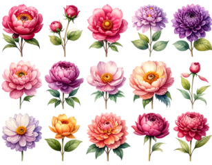 Watercolor-style botanical illustrations of various colorful flowers on stems against a black background, rendered digitally