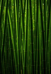 Obraz premium Vibrant green bamboo stalks creating a dense natural background deep within a tranquil jungle environment, bathed in soft, diffused light ,tropical ,exotic ,texture
