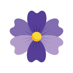 Vibrant purple flower isolated icon vivid petals gentle bloom abstract design vector