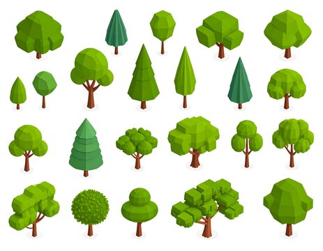 Collection of stylized, low-poly, green trees in various shapes