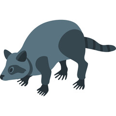 Isometric Gray Raccoon Illustration With Black Stripes On Tail And Dark Eyes On Transparent Background