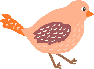 Cute Bird Woodland Animal Illustration Flat Minimalist Style