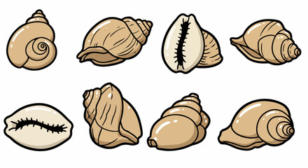 Seashells collection with transparent background