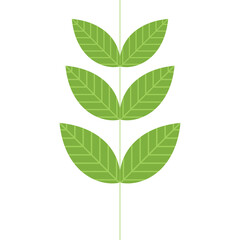 Three Fresh Green Leaves Stacked Vertically Isolated on White Background Vector Illustration