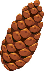 pine and fir cones close up. Detail of a large pine cone transparent, png.Winter holiday decor. illustration