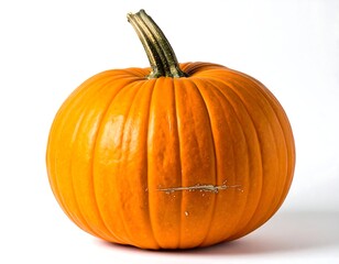 A round, orange autumn pumpkin with a green stem stands alone
