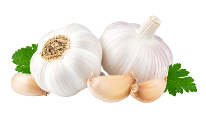 Two whole garlic bulbs and several cloves are nestled with green parsley against a black background