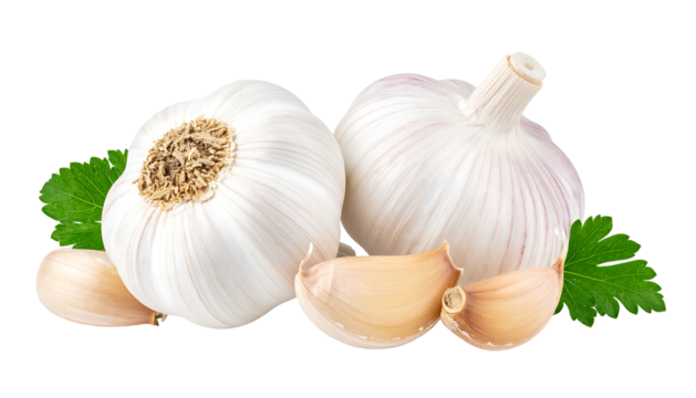 Two whole garlic bulbs and several cloves are nestled with green parsley against a black background