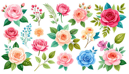 Vivid flowers, roses, berries, and leaves arranged against a black background, creating a colorful, floral illustration