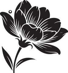 Flower Silhouette Vector | Nature Bloom Illustration