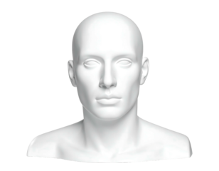 Smooth, white, bald head and neck bust on a black background, facing forward