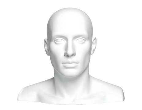 Smooth, white, bald head and neck bust on a black background, facing forward