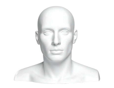 Smooth, white, bald head and neck bust on a black background, facing forward