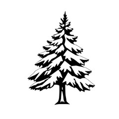 A black and white illustration of a detailed evergreen tree.