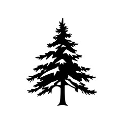 Obraz premium Silhouette of a coniferous tree, possibly a pine or fir, displayed against a white background.