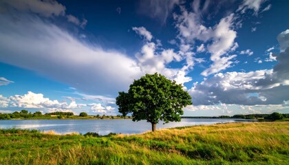 Single tree near to a lake and lot of grass around and beautiful clouds