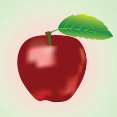 Apple fruit realistic vector illustration